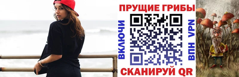 мега tor  Димитровград  Псилоцибиновые грибы GOLDEN TEACHER 
